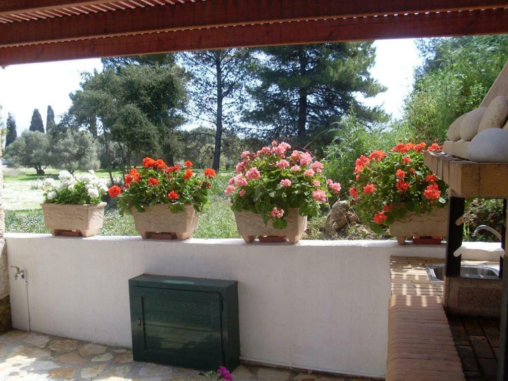 Villa Amelia Μεταξάτα Εξωτερικό φωτογραφία